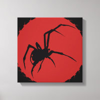 Spider de viuda negra