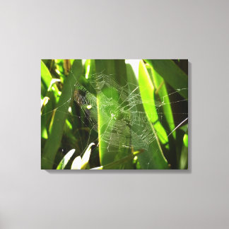 Lienzo Spiderweb en la naturaleza de las hojas tropicales