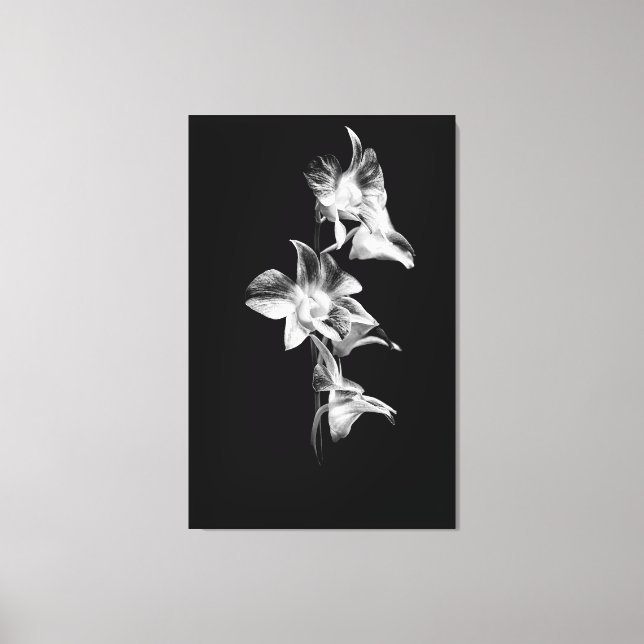 Lienzo Spray de orquídeas en blanco y negro (Anverso)