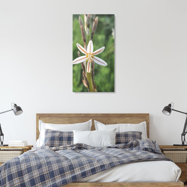 Lienzo Spring flora South Africa Canvas Print (Insitu(Dormitorio))