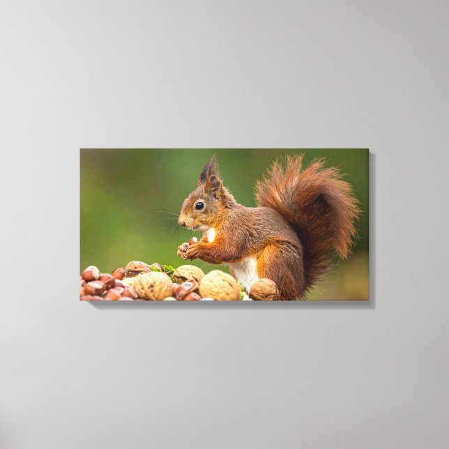 Lienzo squirrel eating nut (Anverso)