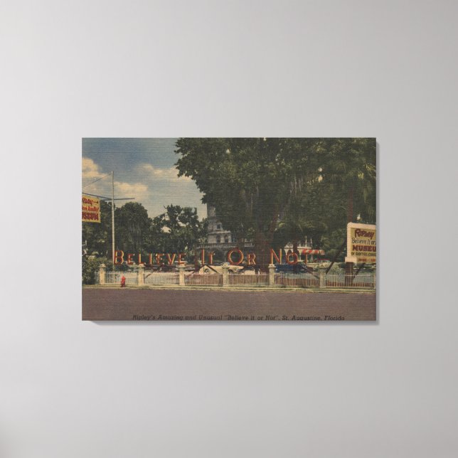 Lienzo St. Augustine, FL - Creer o no de Ripley (Anverso)