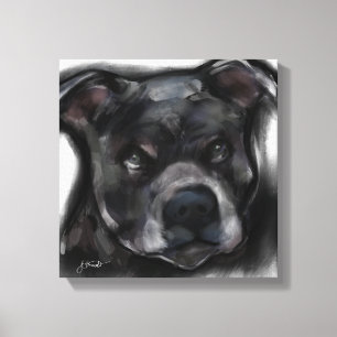 Lienzo Staffordshire Terrier Americano