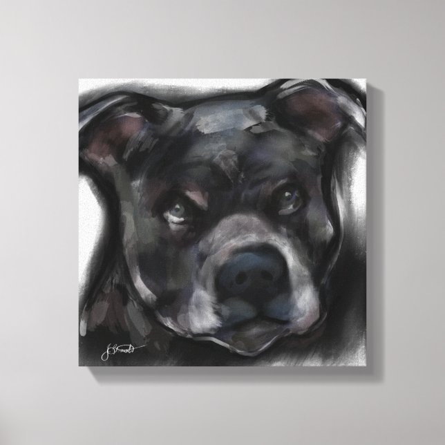 Lienzo Staffordshire Terrier Americano (Anverso)