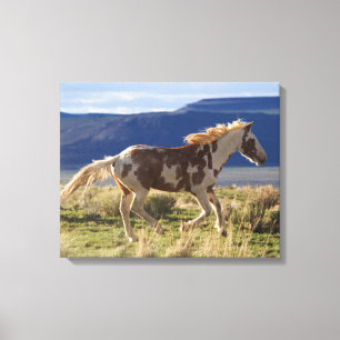 Lienzo Stallion en marcha, montañas Steens, Oregón