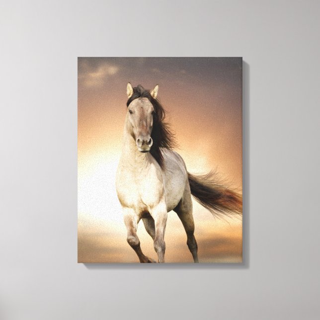 Lienzo Stallion salvaje corriendo al atardecer (Anverso)