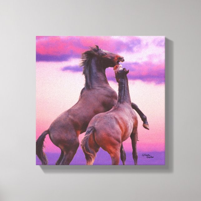 Lienzo Stallis reproduciendo Sunrise Stretched Canvas Pri (Anverso)