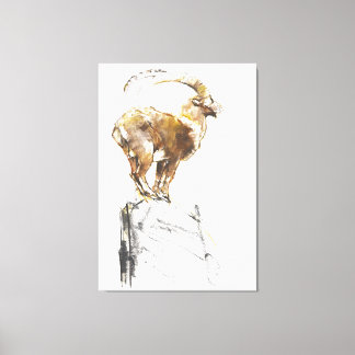 Lienzo Stambecco d'Oro 2005