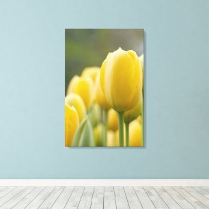 Lienzo Stand Up Tulip