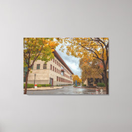 Lienzo Stanford en otoño