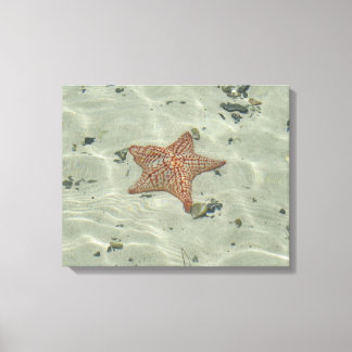Lienzo Starfish