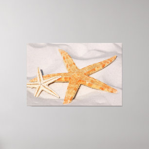 Lienzo Starfish