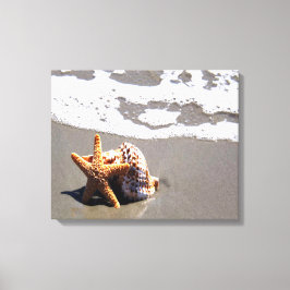 Lienzo Starfish And Shell