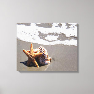Lienzo Starfish And Shell