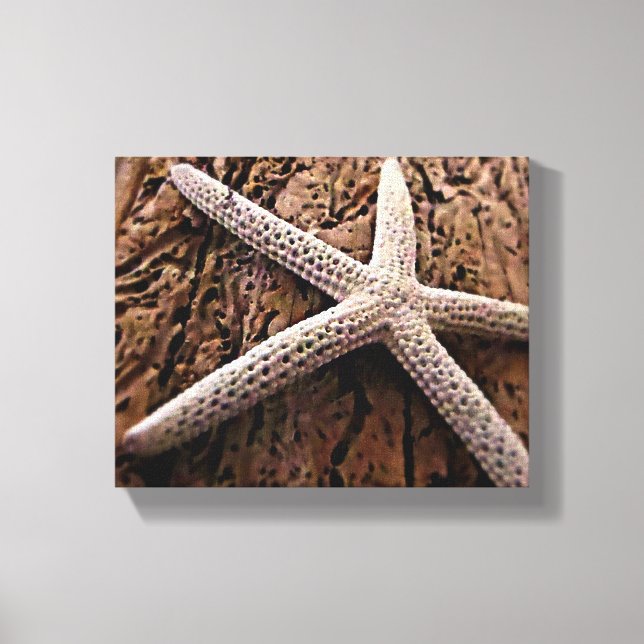 Lienzo Starfish en Driftwood (Anverso)