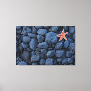 Lienzo Starfish En Rocas Negras A Lo Largo De La Costa