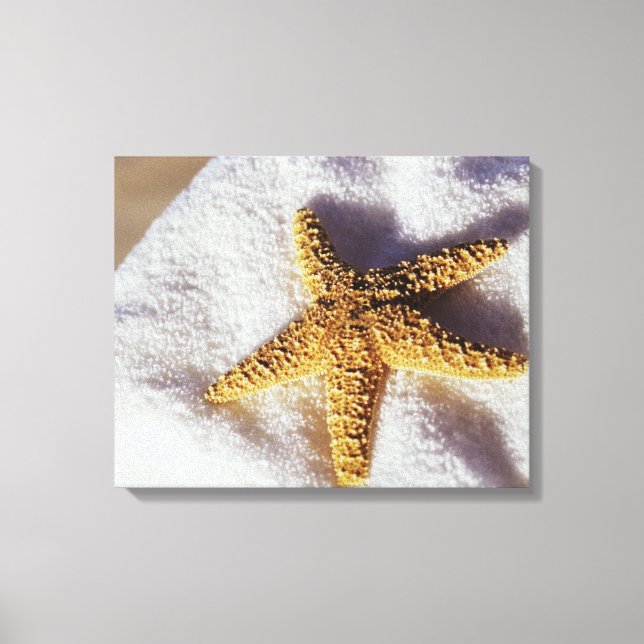 Lienzo Starfish En Una Toalla (Anverso)