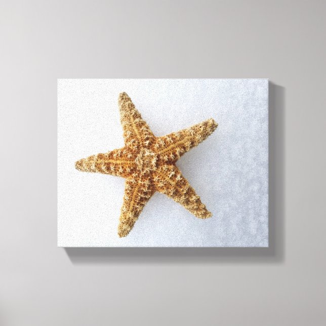 Lienzo Starfish In The Snow original Photography Poster (Anverso)