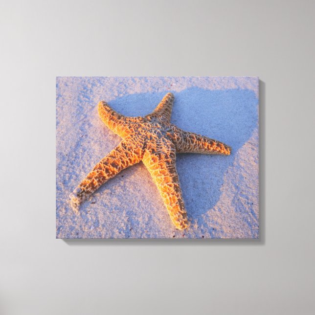 Lienzo Starfish On White Sand (Anverso)
