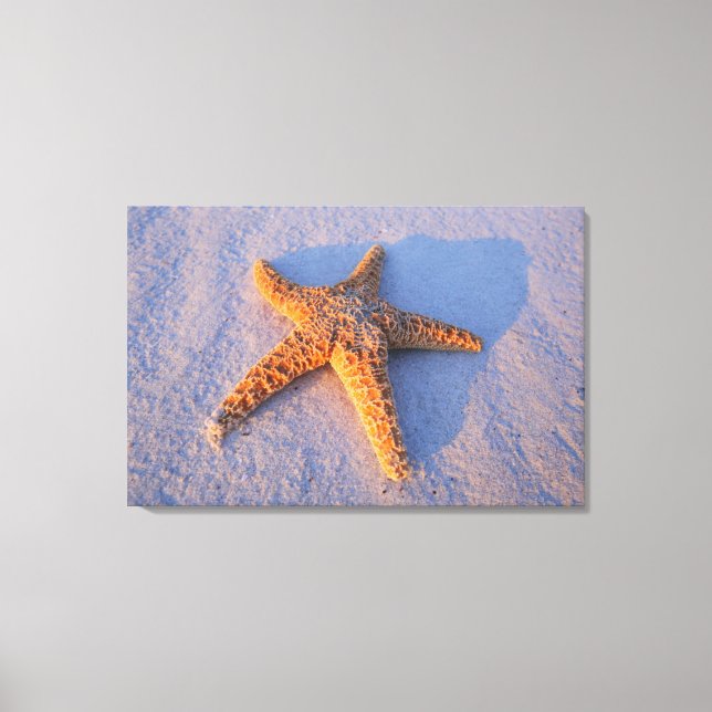 Lienzo Starfish On White Sand (Anverso)