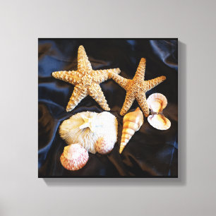 Lienzo starfish seashelhelhells sealife beach still life