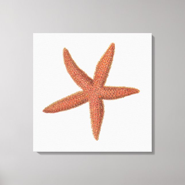 Lienzo Starfish - Sherman Denton Fish Lithograph (Anverso)