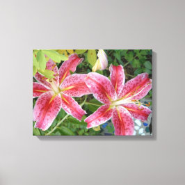 Lienzo Stargazer Lilies Garden Floral