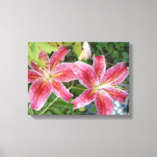 Lienzo Stargazer Lilies Garden Floral