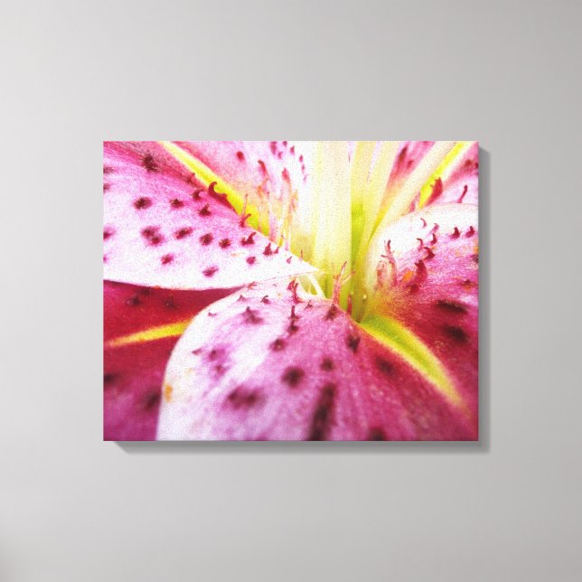 Lienzo Stargazer Lily Bright Magenta Floral (Anverso)