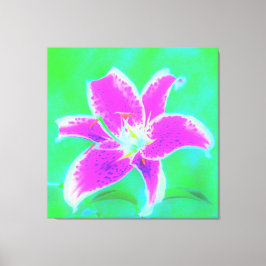 Lienzo Stargazer rosa caliente Lily sobre Turquesa y Verd