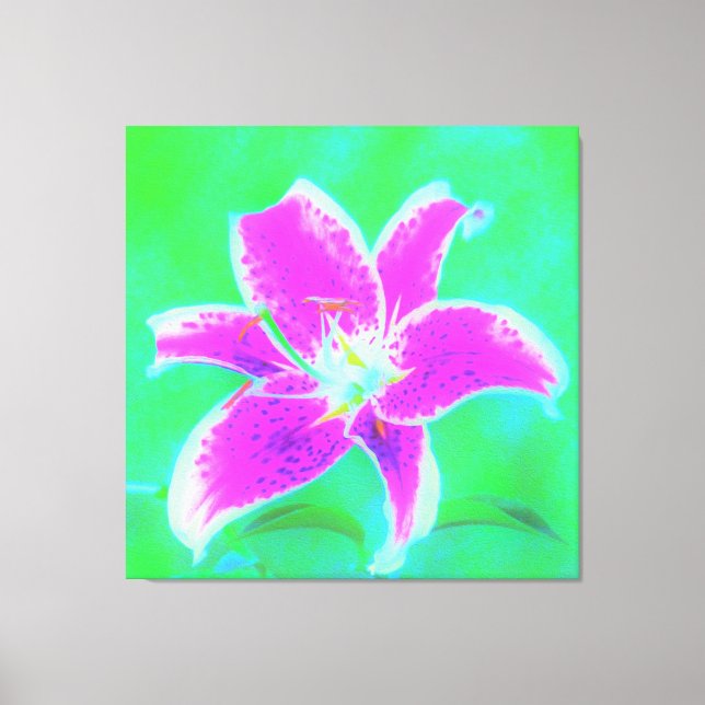 Lienzo Stargazer rosa caliente Lily sobre Turquesa y Verd (Anverso)