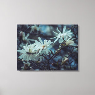 Lienzo Starry Magnolia 3172