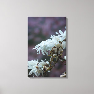 Lienzo Starry Magnolia 5780