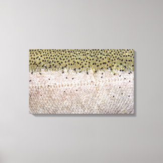 Lienzo Steelhead on Canvas