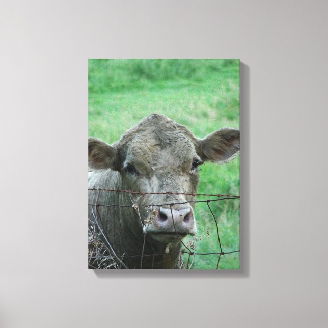 Lienzo Steer dice hola (Anverso)