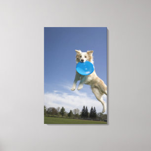 Lienzo Stockton, California, los E.E.U.U.