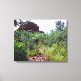 Lienzo Straussen Back Trail