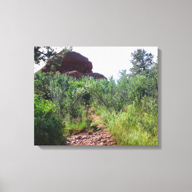 Lienzo Straussen Back Trail (Anverso)