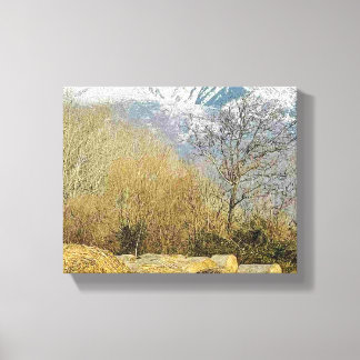 Lienzo Stretched Canvas Print 