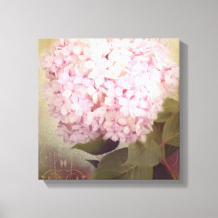 Lienzo Suavemente verano 2 pájaros sonoros Pink Hydrangea