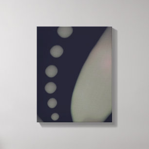 Lienzo Suavizado negro y blanco -