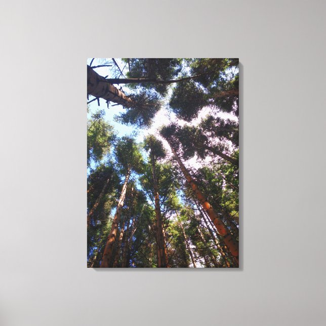 Lienzo Subiendo (Anverso)