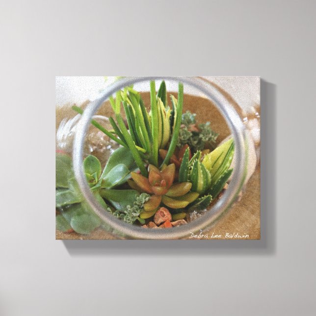 Lienzo Suculento Poster de Terrario de Debra Lee Baldwin (Anverso)