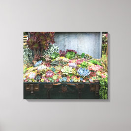 Lienzo Suculentos en el tesoro de Chest