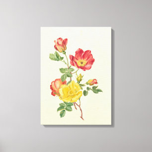 Lienzo Sucursal de rosas silvestres, Antoinette Luden,