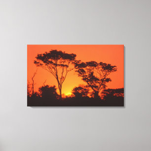 Lienzo Sudáfrica.  Atardecer africano.