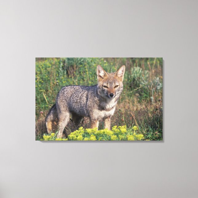 Lienzo Sudamérica, Chile, Torres del Paine NP, (Anverso)