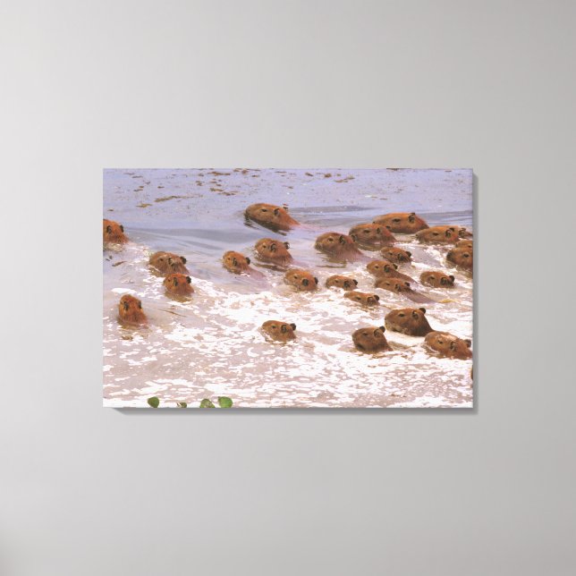 Lienzo Sudamérica, Venezuela, región de Llano. (Anverso)