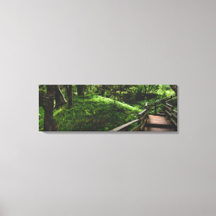 Lienzo Suelo Forestal Exuberante