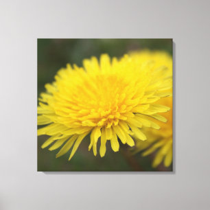 Lienzo Sueño con Dandelion. flor silvestre amarillo bonit